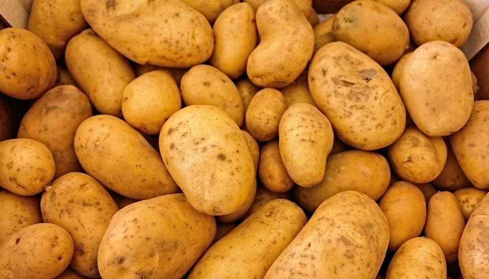 The method of storing potatoes that is dangerous to the human body