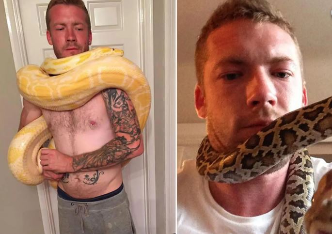 The shocking story of a man who kept 10 snakes, 12 spiders, and a giant python as pets. A whole globe was stunned by what happened one day. His affection for these animals drove him…