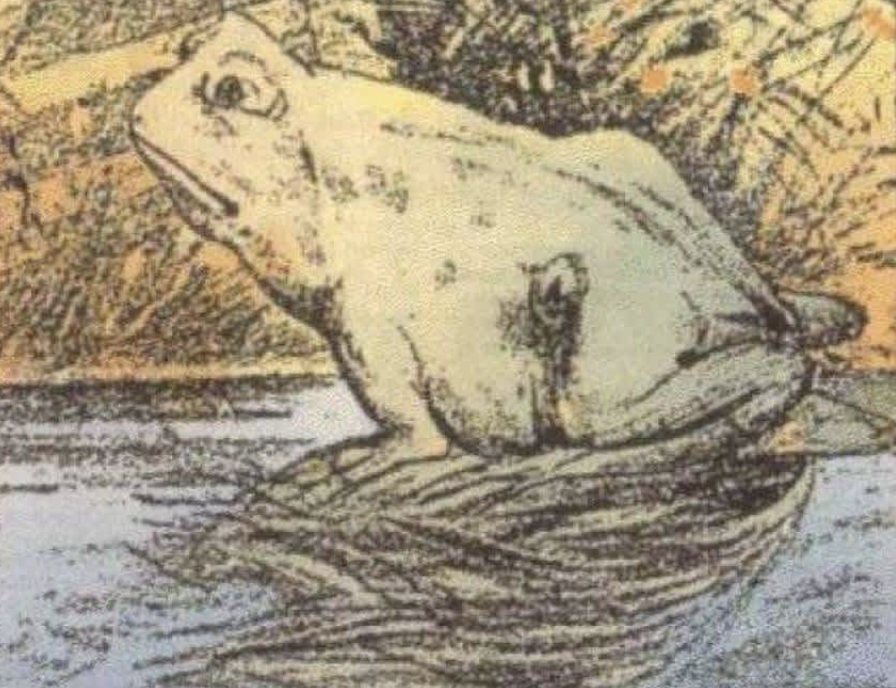 People are having difficulty finding the horse hidden in this regular frog image.