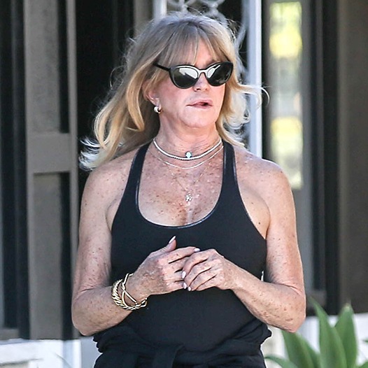 Goldie Hawn: The Life of a Superstar Revealed