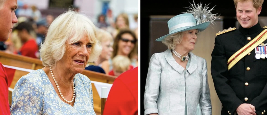 Queen Camilla’s Outrage over Prince Harry’s Visit: A Loving Son’s Gesture or PR Stunt?