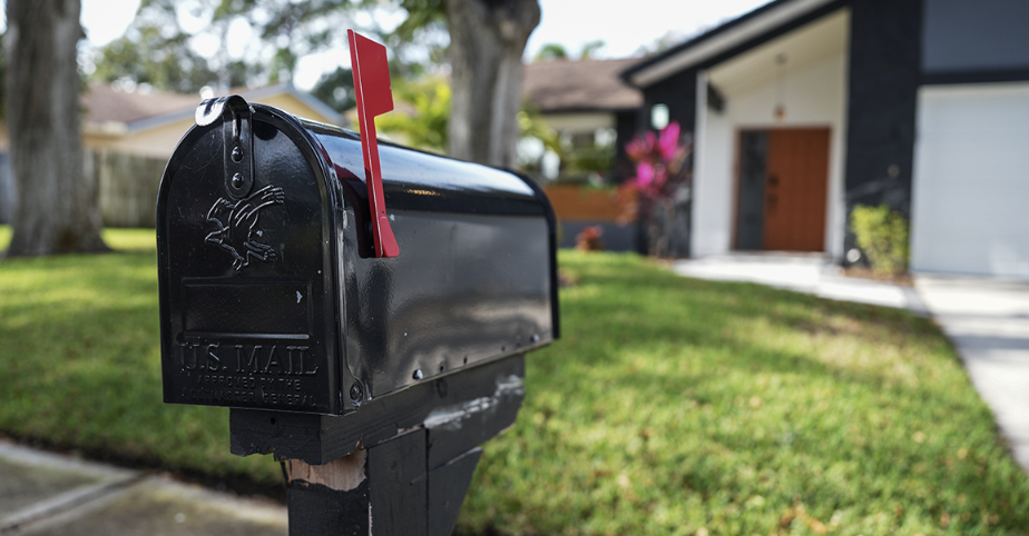 Keeping Wasps Out of Your Mailbox with a Simple Hack