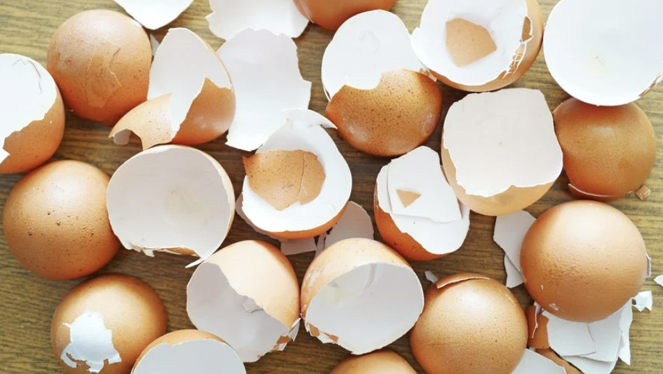 The next time you crack open an egg, don’t forget to save those shells