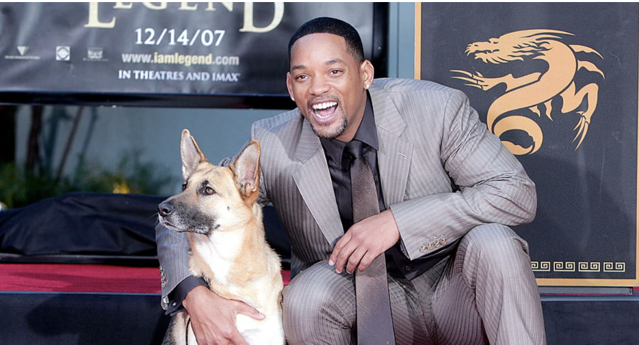 Will Smith’s Heartwarming Tribute to Abbey, the Dog from “I Am Legend”