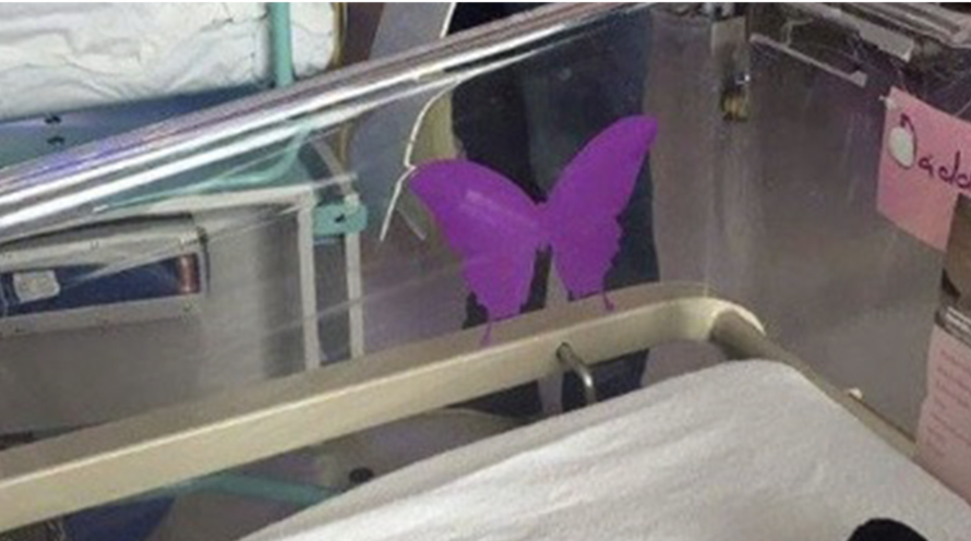 How a Purple Butterfly Became a Symbol of Love and Loss