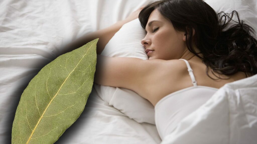 Put a bay leaf in your hair before you sleep. The secret trick you’ll be using from now on