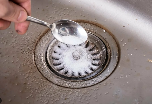 The reason why it is good to put salt in the sink: you will definitely get rid of this problem